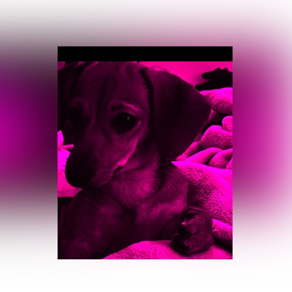 Meet your Posher, Teresa - Picture 2 of 2